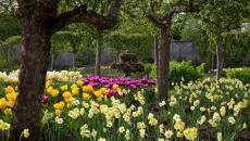 Хайгроу:усадьба и великолепный сад принца Чарльза Образование принца Чарльза
